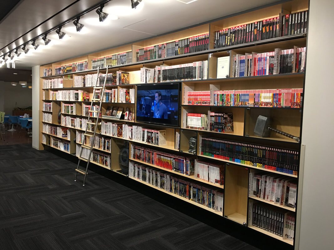 Custom library wall with integrated media and ladder